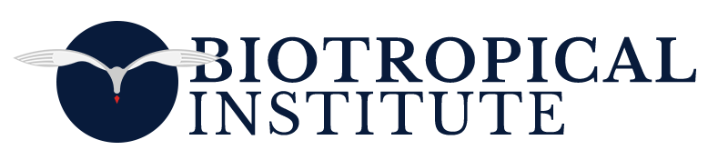 Prácticas gratuitas con fauna, medio ambiente y etnias en todo el planeta. Diplomados Universitarios.