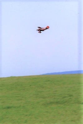 Richard Hecht - Pitts S-1S - D-EMIZ - c/n 1-0028