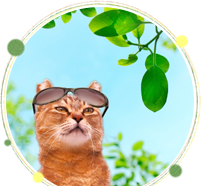 来院時のお願い