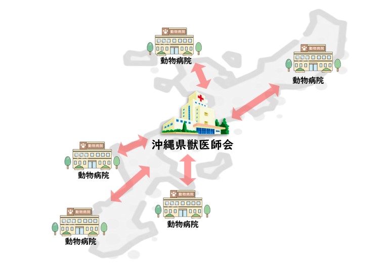 診療連携図