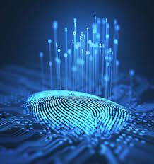 EKXEL IT Services Job Offer OpenText Solutions Architect 