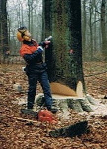 verschiedene Einsätze