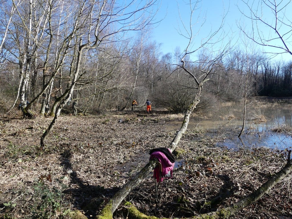 Le soleil est arrivé !