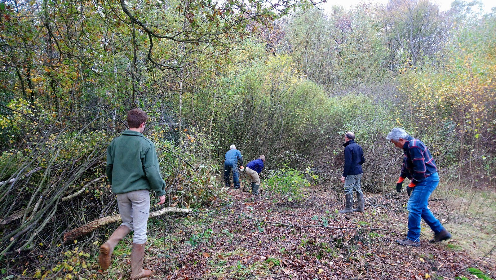 Débroussaillage des berges, automne 2017