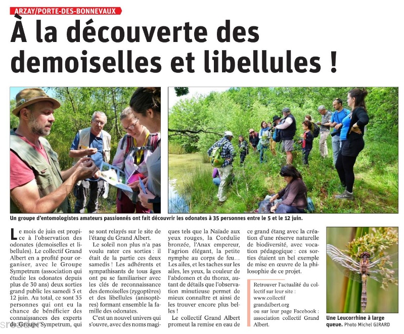Le Dauphiné Libéré - A la découverte des demoiselles et libellules - 17 juin 2021