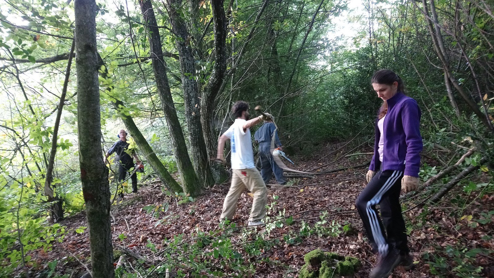 Débroussaillage des berges, automne 2017