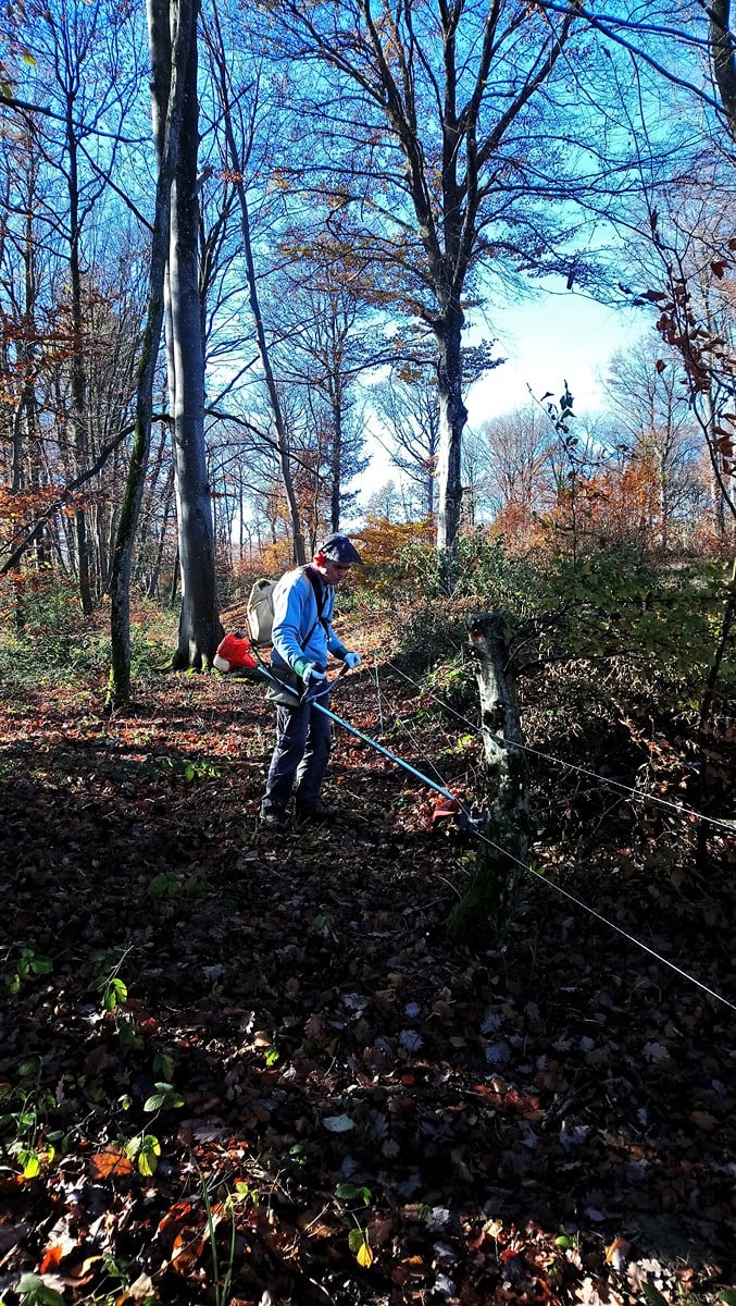 Installation de la clôture périphérique, automne 2017