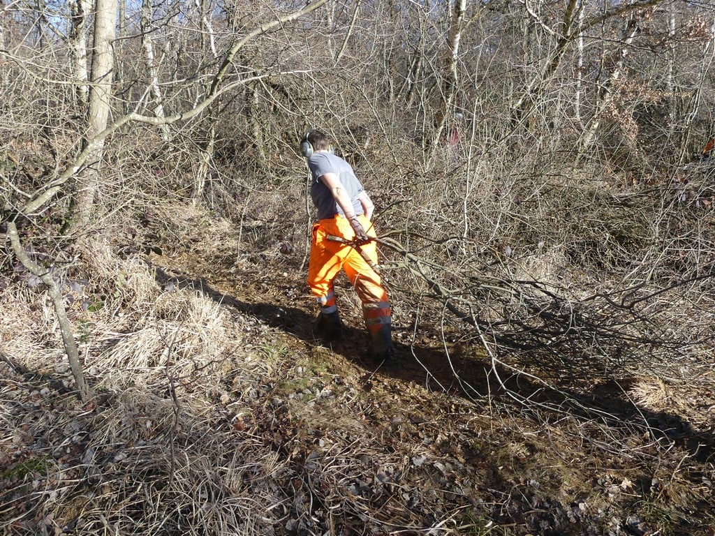 Les branches de saule... on en a trainé un certain nombre !