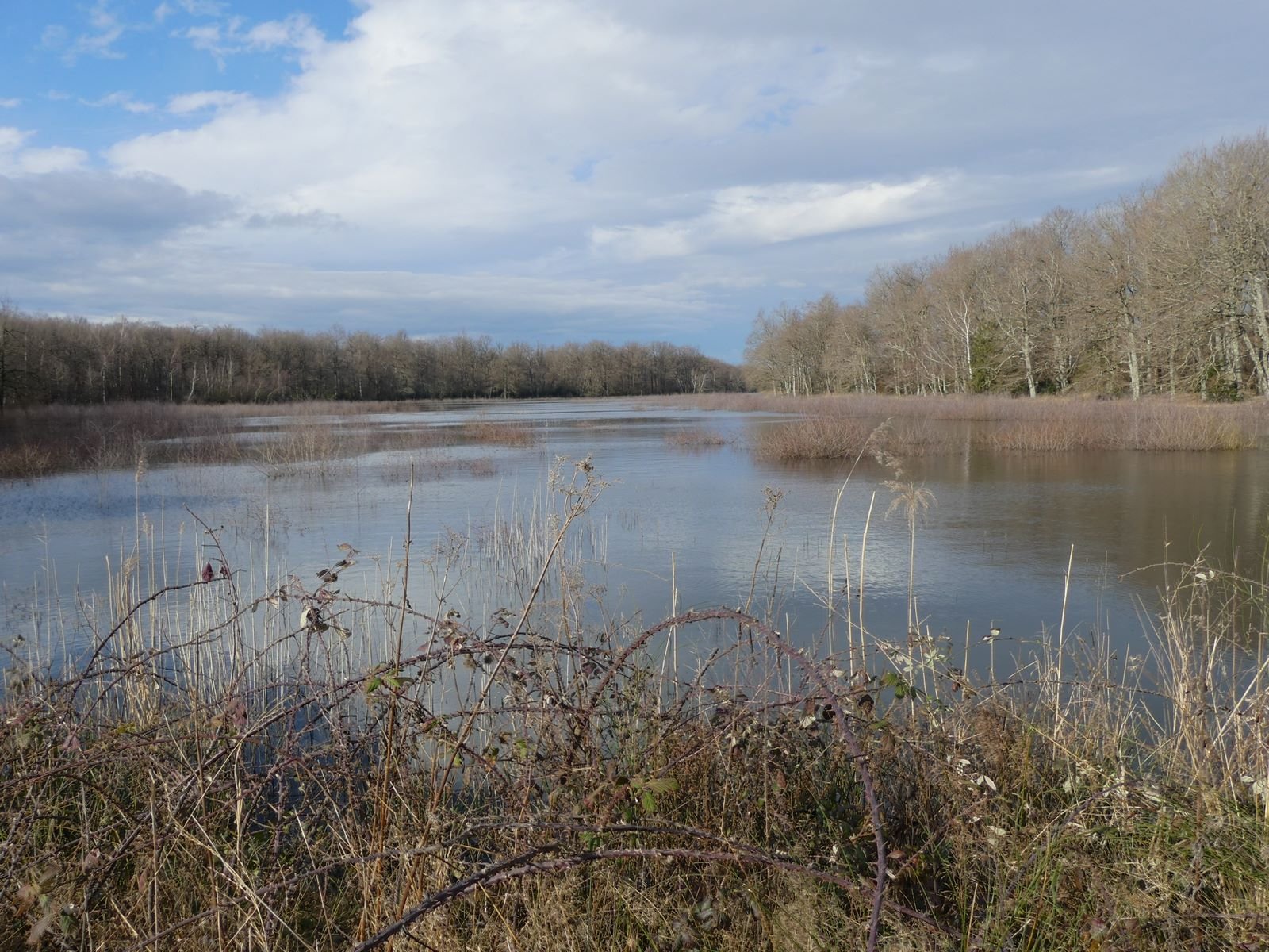 Le Grand Albert juste à côté sous un petit soleil discret