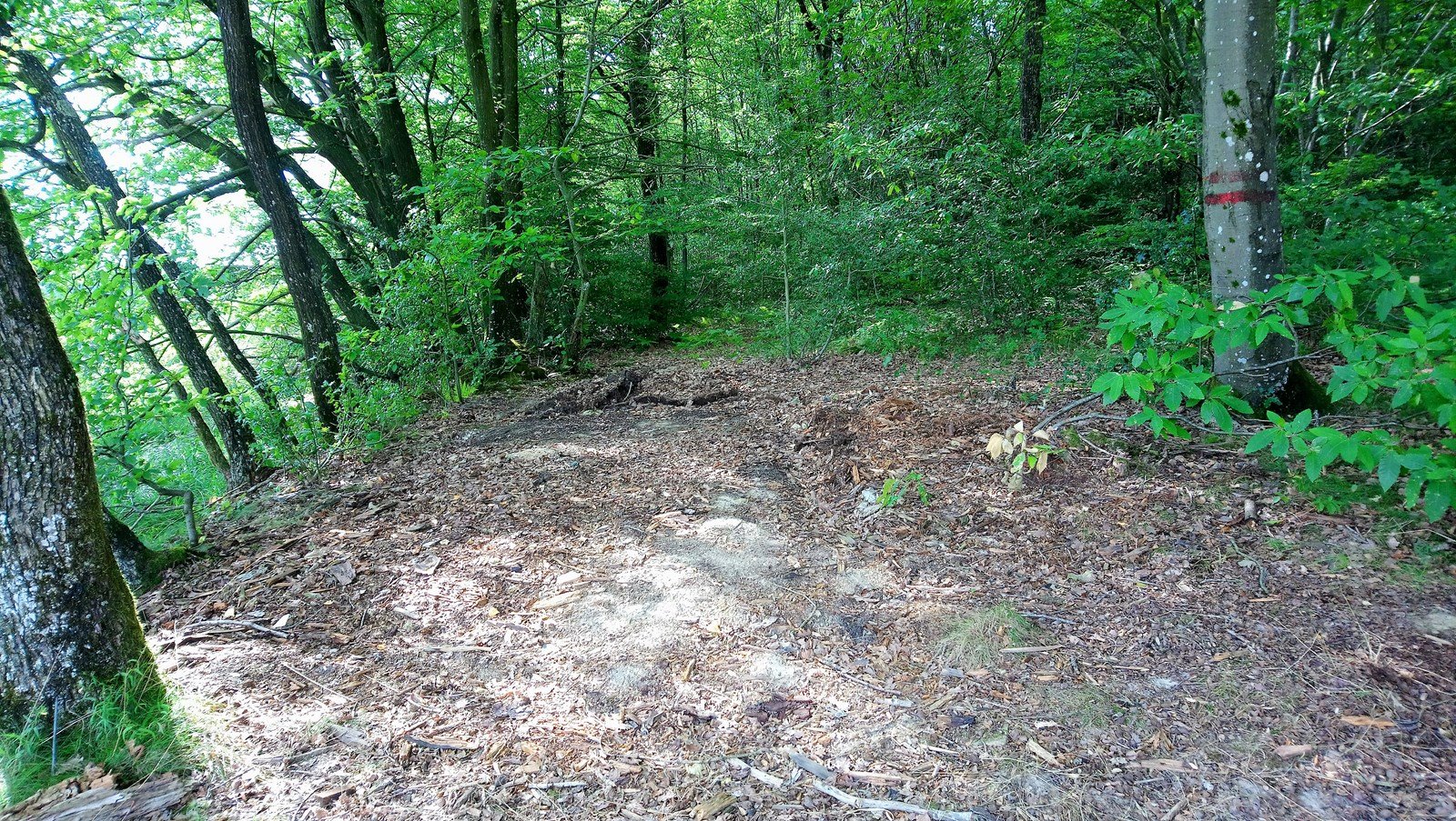 … Le même site une fois nettoyé !