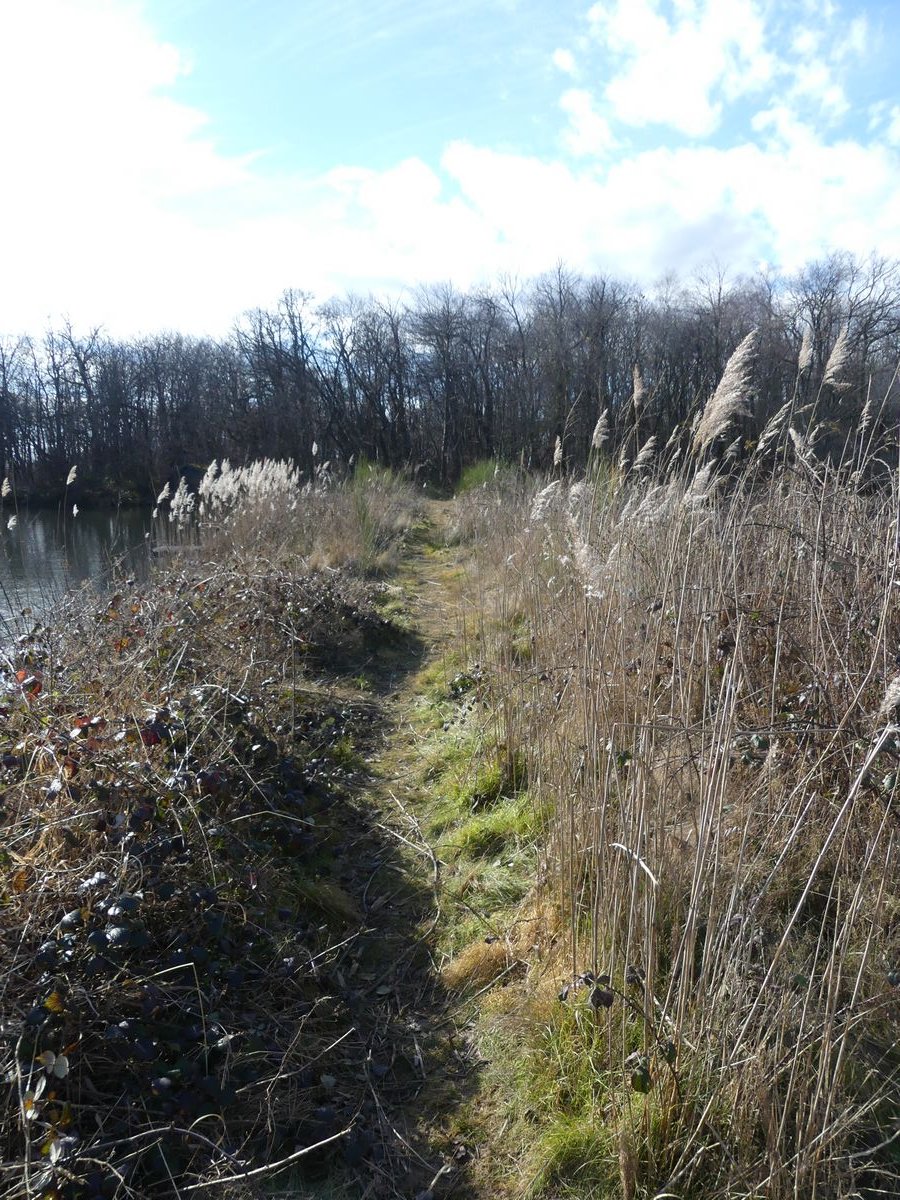 La digue du Haut Albert bien débarrassée des ligneux