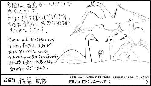 今回は白鳥がいっぱいで良かったです。ご飯もとても美味しかったです。今度は白鳥が一番多い時期に来てみたいです。今回も大変お世話になりました。前回は白鳥があまり見れなかったので今年はちゃんと見れて良かったです。また、来年も来たいと思います。有難うございました。（佐藤尚哉さま　男性 26歳　東京都）