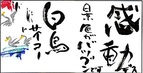 感動です。景色がバツグンです。白鳥サイコー（加藤オサムさま　男性43歳　山形県）