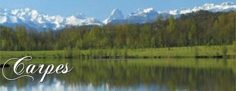 Etang de Pêche à la carpe en France