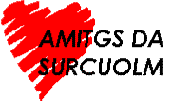 Amitgs da Surcuolm