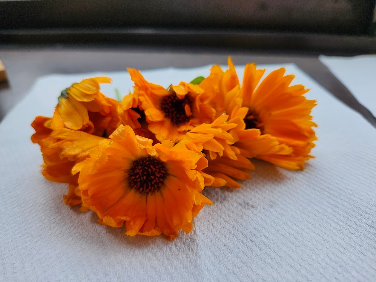 自分調え学講座で学ぶ、カラダを中から調える