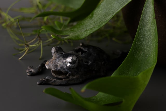黒い蛙　black frog        190 x 100 x h40  mm 