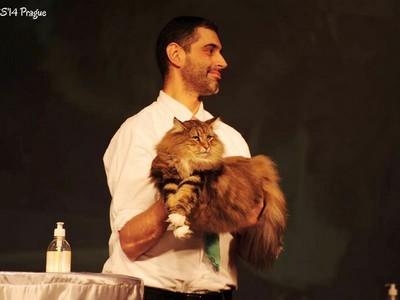 SP SC S*NC's Sister Moonshine, JW, DVM, DSM