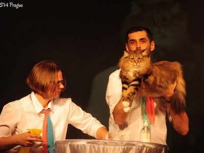 SP SC S*NC's Sister Moonshine, JW, DVM, DSM