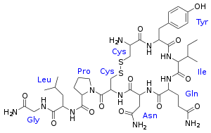 Ocytocine