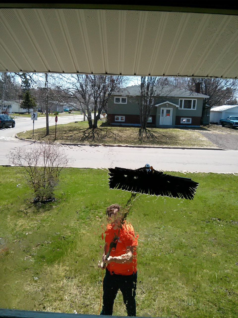Residential Window Cleaning