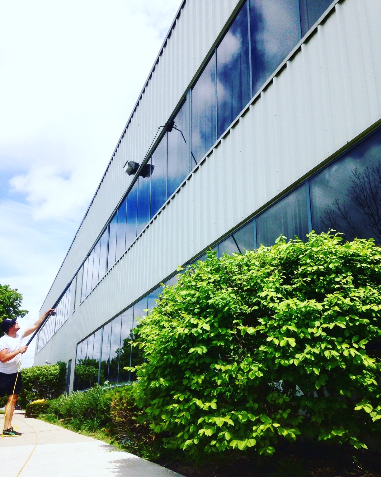 Commercial Window Cleaning