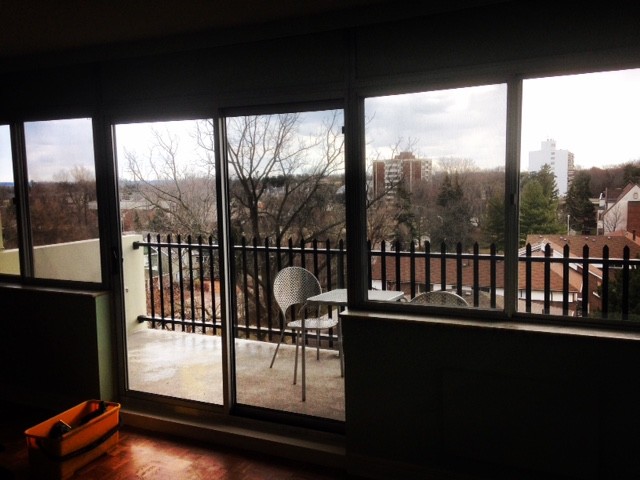 Residential Window Cleaning