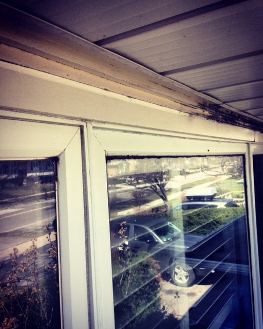 Residential Window Cleaning