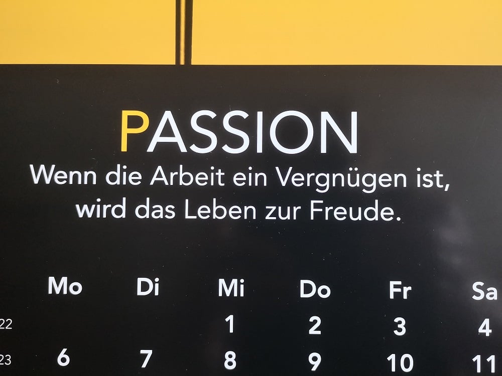 Meine Leidenschaft zum Beruf gemacht