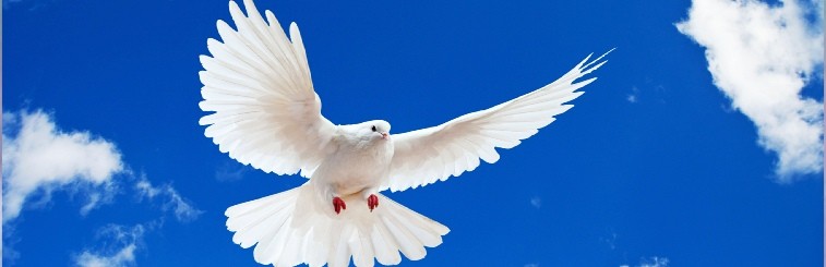 fliessenimflusss Webseite!