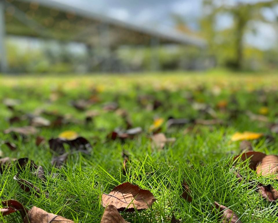【レポート】季節の変り目におススメのファスティング
