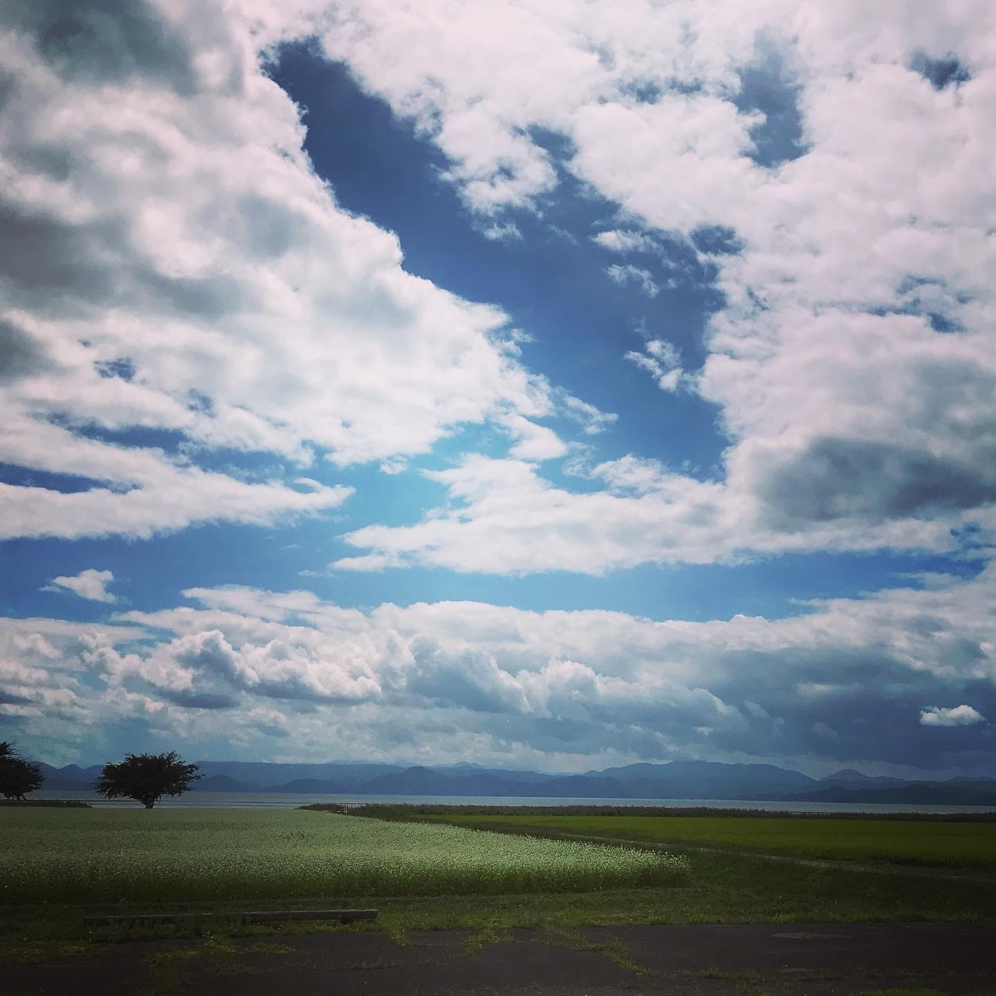 【レポート】季節の変り目におススメのファスティング