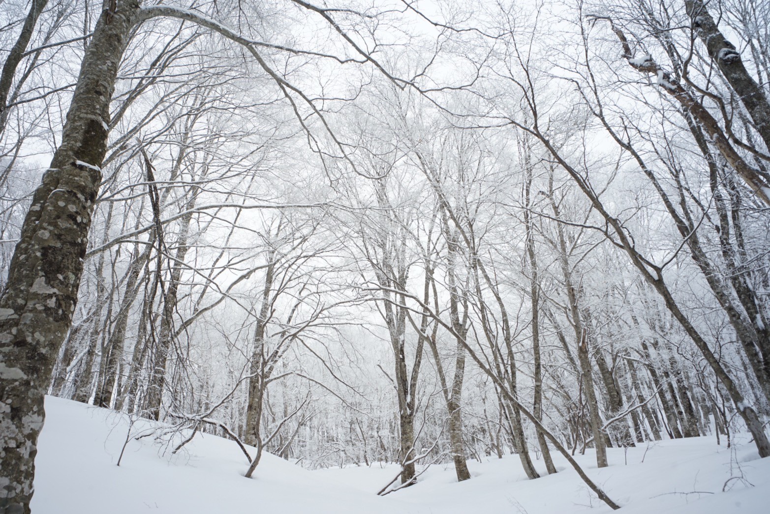 物足りないくらいが丁度良いんだよ