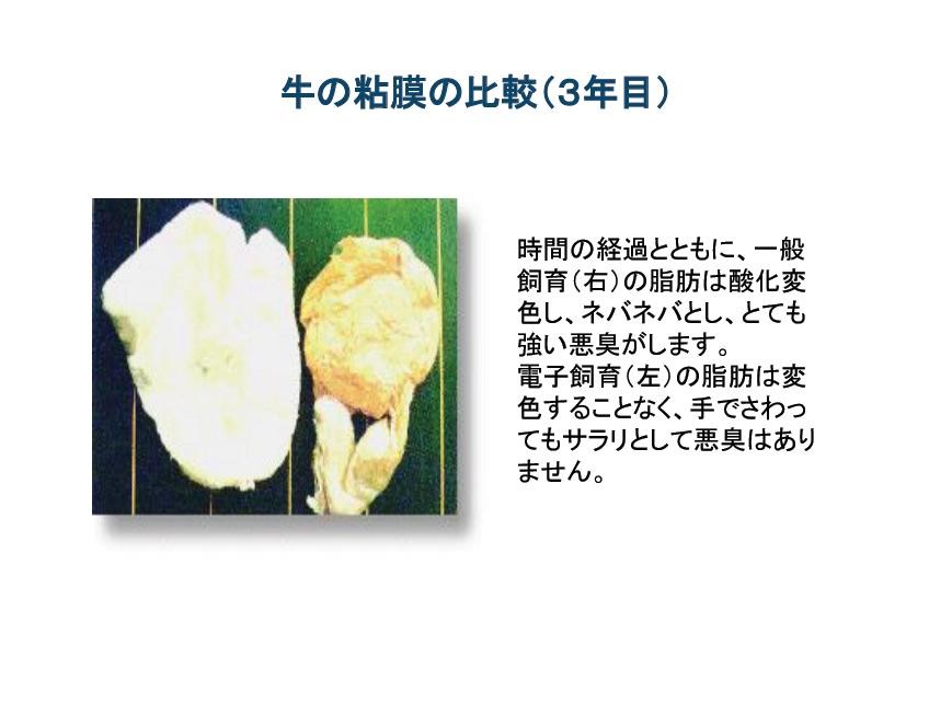 ※一般的な電子水を使用しての実験