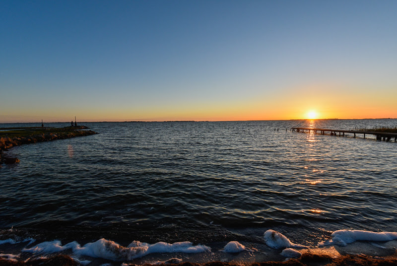 Zirka eine Stunde verbrachte ich am Bodden der Ostsee, ehe es wirklich passte