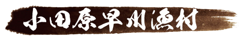 小田原早川漁村