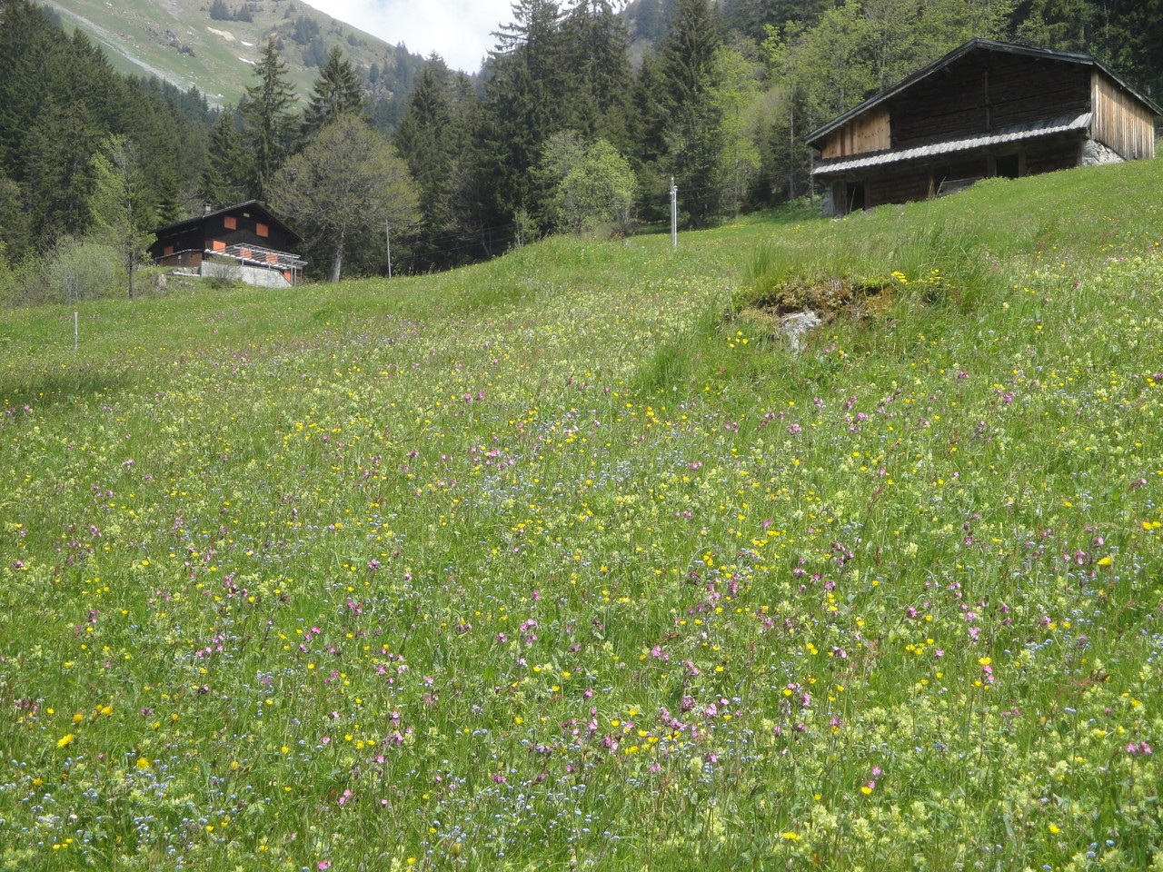 Skihaus in der Ferne 