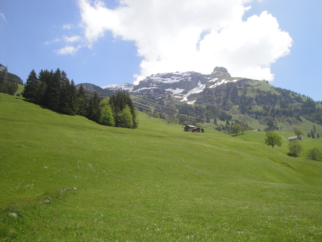 Blumenwiesen mit Schlafstein im Hintergrund