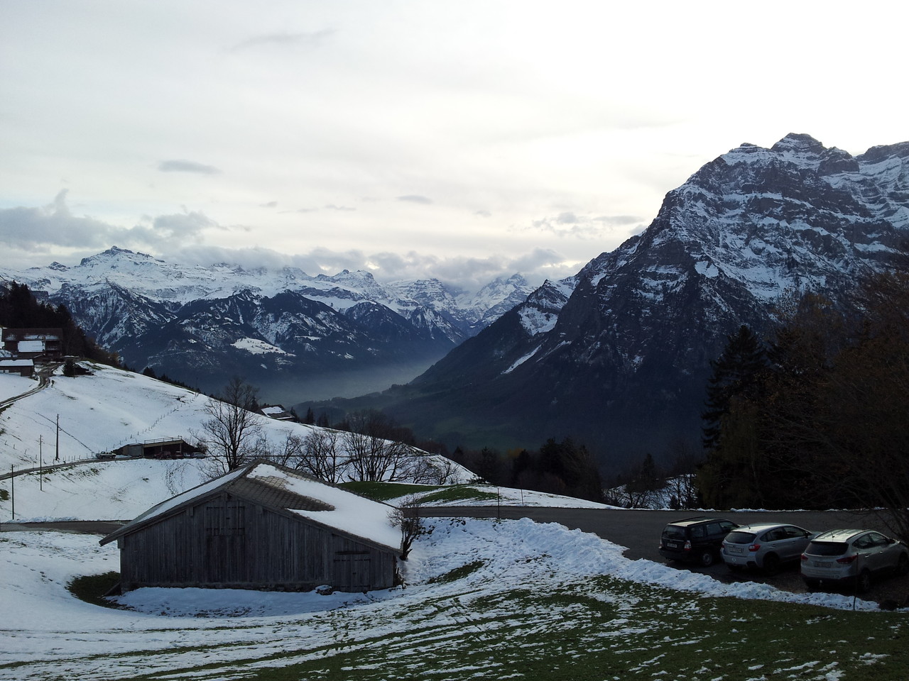 jetzt sind sie im Stall