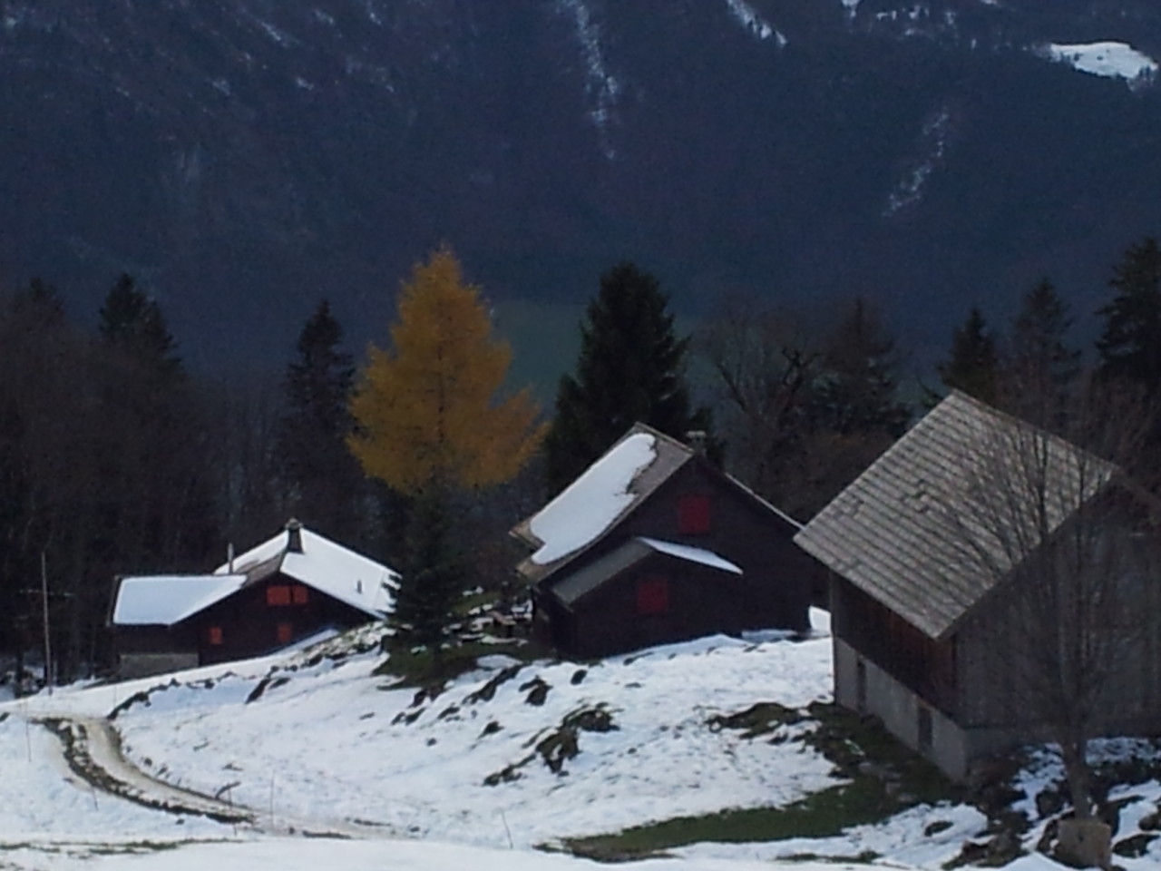 Nur noch die Lärche läuchtet