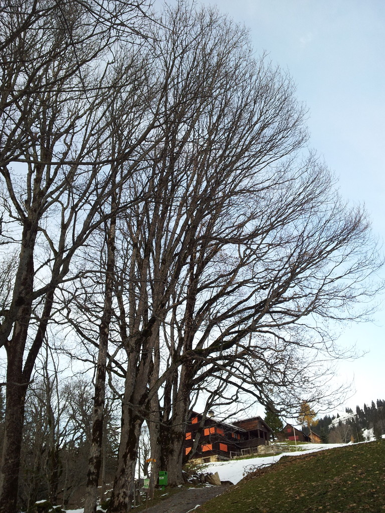 ist hier nicht mehr angesagt