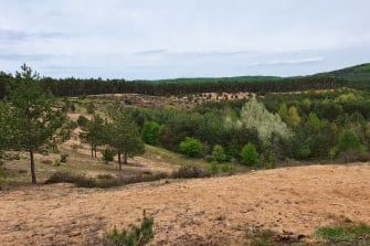 ehemaliger Sandabbau: Patricia Daniel (LBV Bildarchiv)