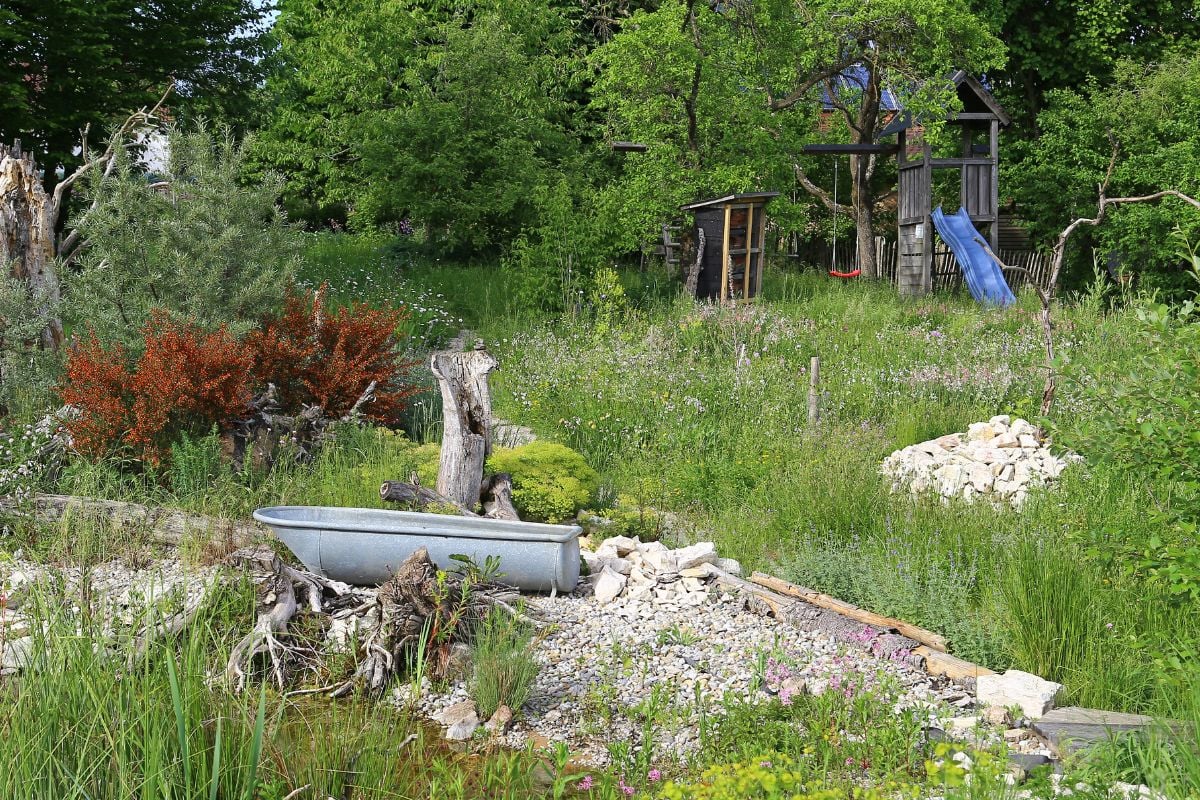 Gartenblick (Foto: Carola Bria)