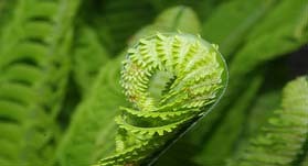 Naturlehm / Lehmputz