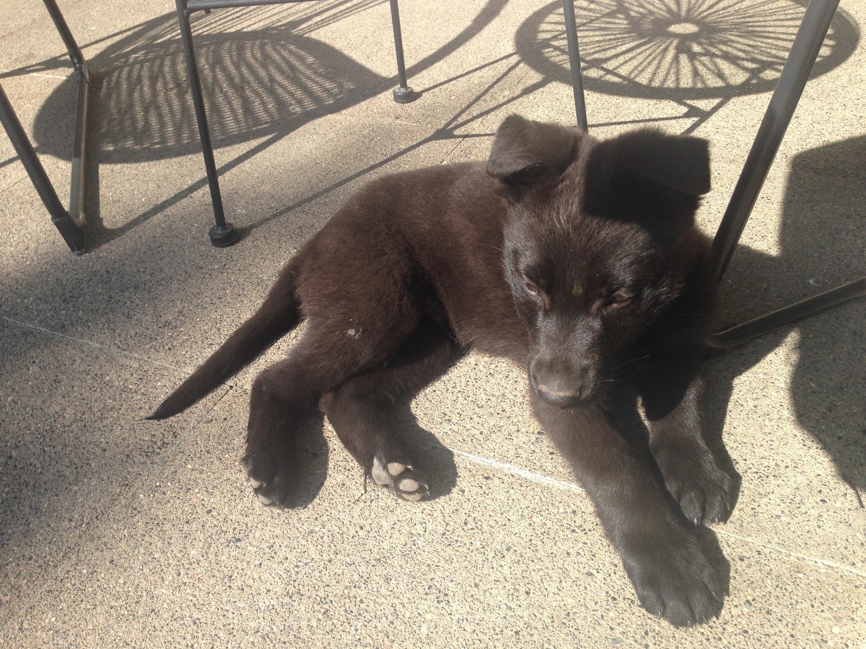 Rik von der Gletscherhöhle