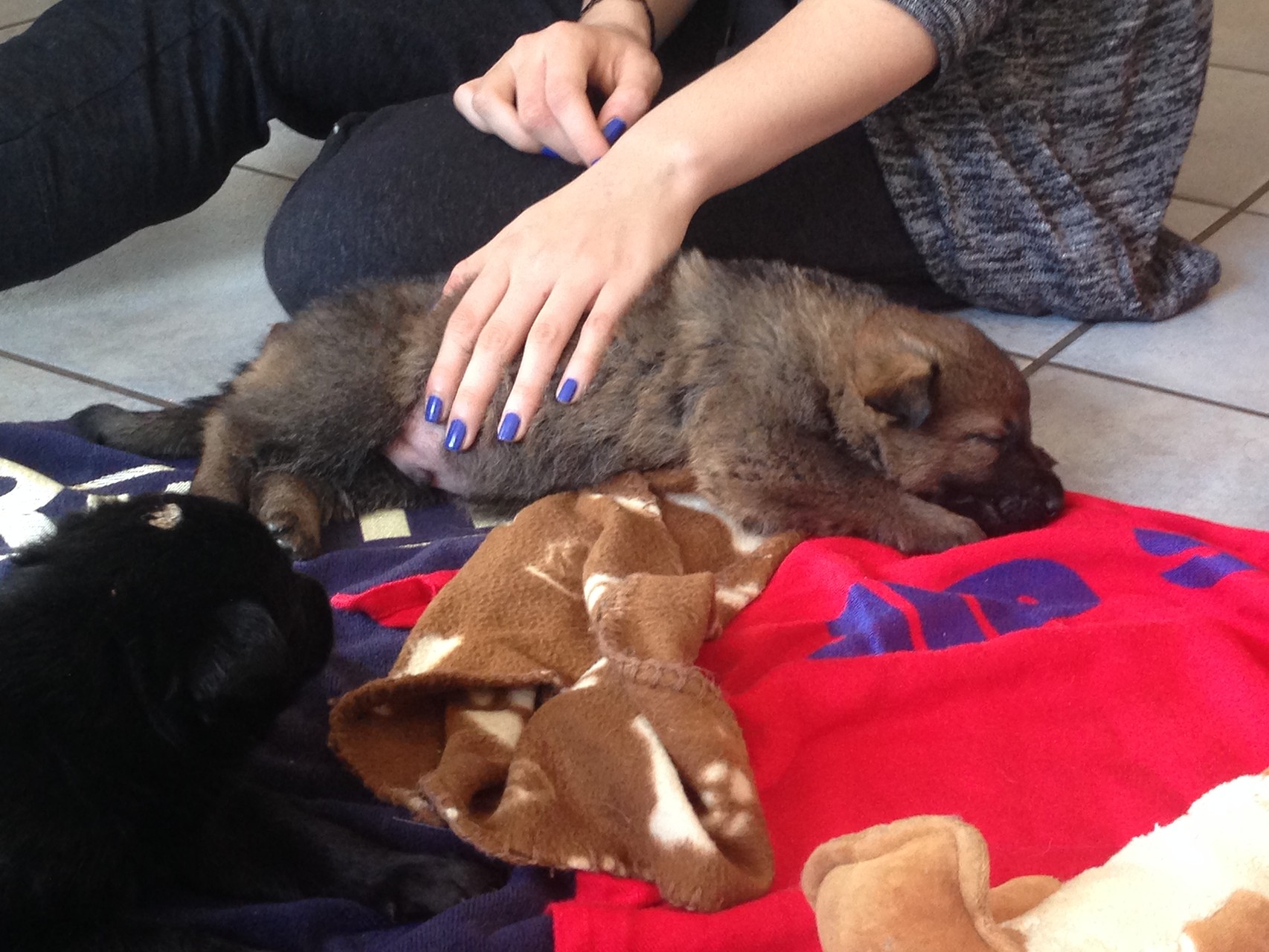 S-Wurf am 05.04.2015