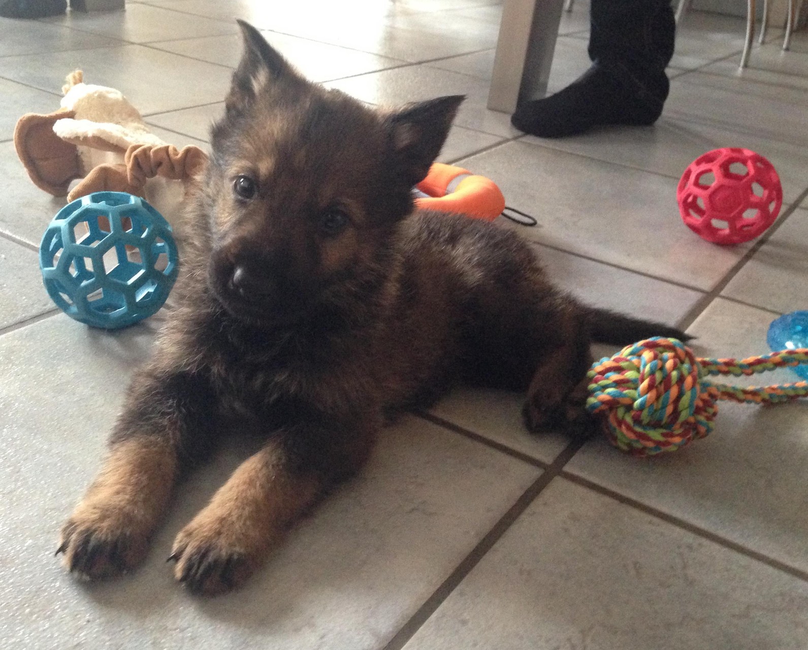 R-Wurf von der Gletscherhöhle; 12.02.2015