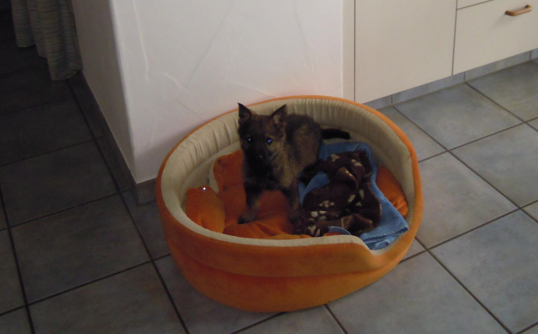 Raik von der Gletscherhöhle