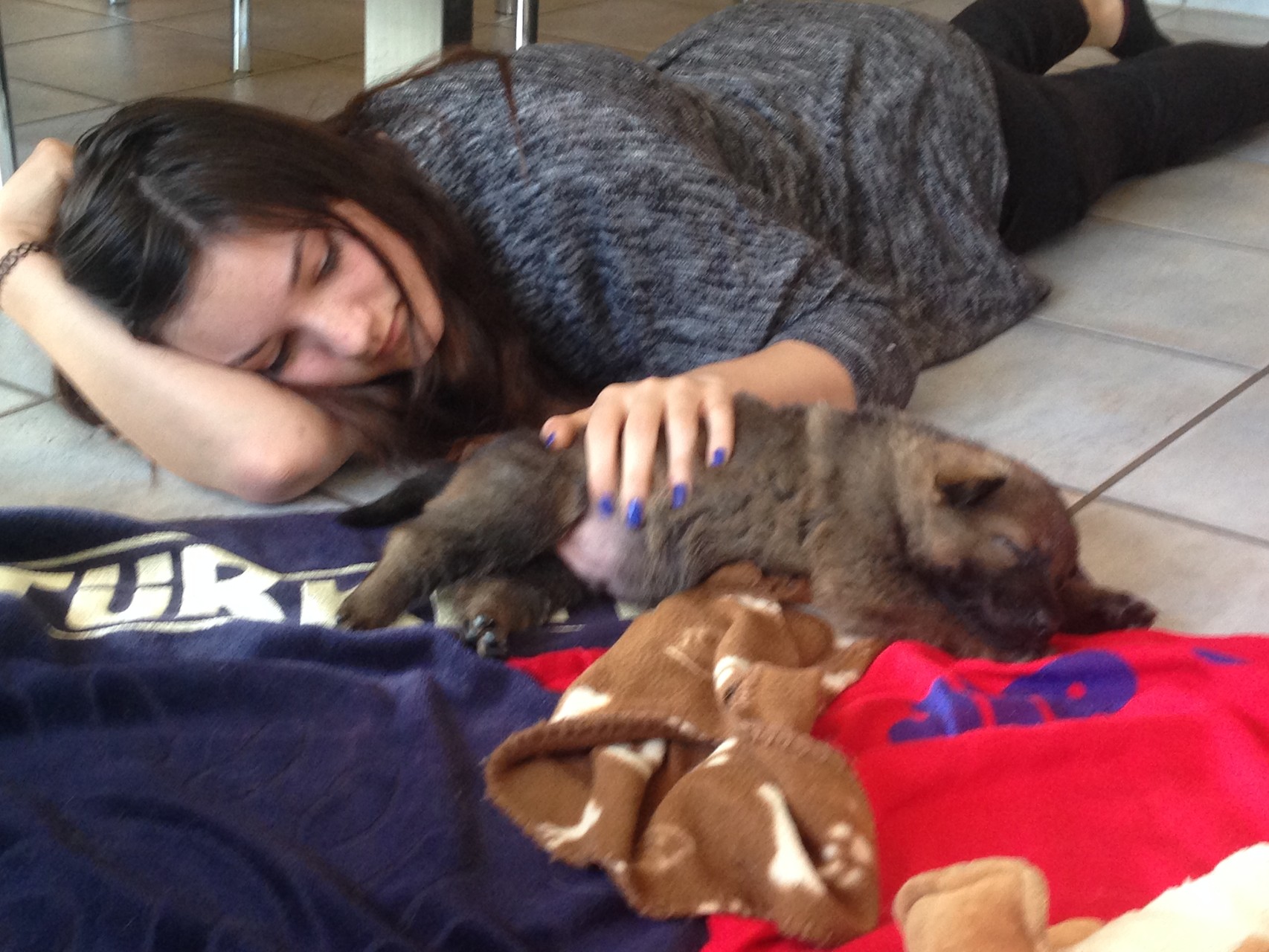 S-Wurf am 05.04.2015