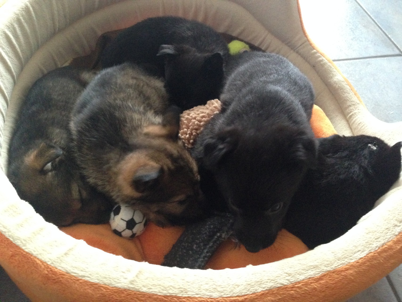 R-Wurf von der Gletscherhöhle; 12.02.2015